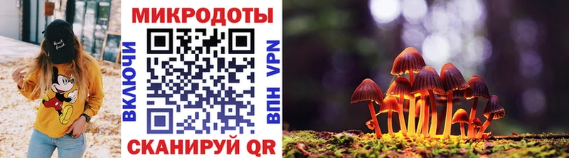 ссылка на мегу вход  Сорск  Псилоцибиновые грибы прущие грибы 